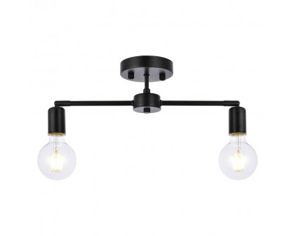 Elegant - Zane 2 Lights Flush Mount