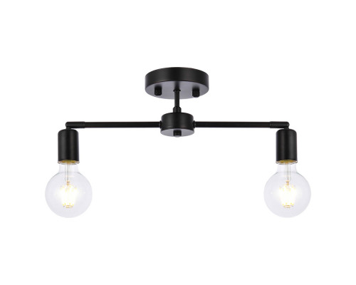 Elegant Zane 2 Lights Flush Mount - Black (LD2348BK)