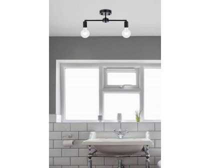 Elegant Zane 2 Lights Flush Mount - Black (LD2348BK)