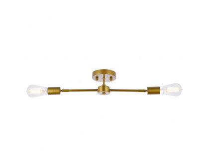 Elegant Zane 2 Lights Flush Mount - Brass (LD2348BR)