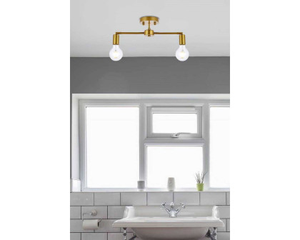 Elegant Zane 2 Lights Flush Mount - Brass (LD2348BR)