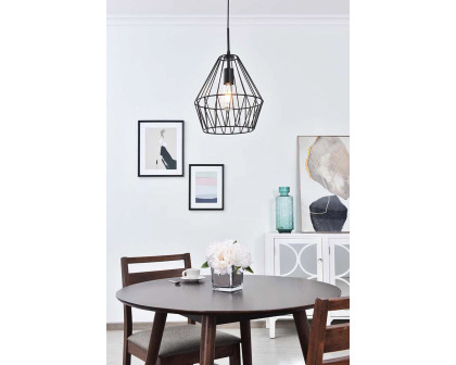 Elegant - Pendant Light (LD4008D11BK)