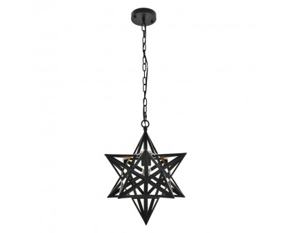 Elegant Nocturne 1 Light Pendant - Black, L 15.8" (LD4076D16BK)