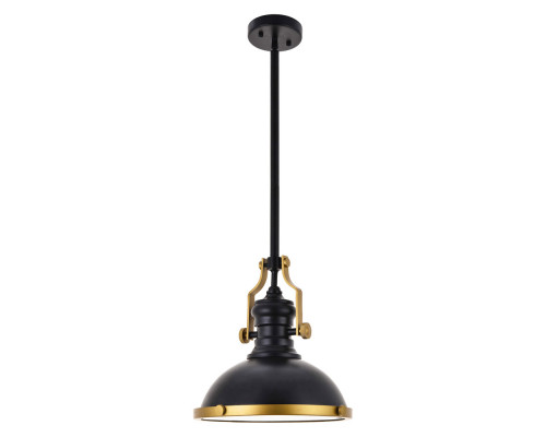 Elegant Eamon 1-Light Pendant - Brass/Black (LD5001D13BRB)