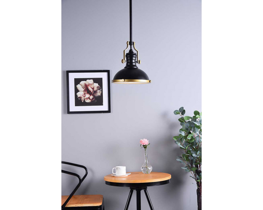 Elegant Eamon 1-Light Pendant - Brass/Black (LD5001D13BRB)