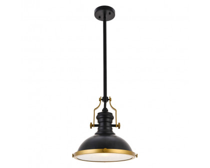 Elegant Eamon 1-Light Pendant - Brass/Black (LD5001D13BRB)