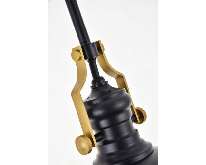 Elegant Eamon 1-Light Pendant - Brass/Black (LD5001D13BRB)