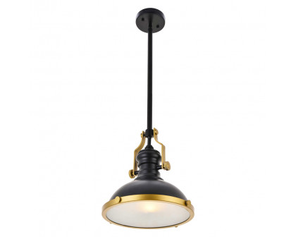 Elegant Eamon 1-Light Pendant - Brass/Black (LD5001D13BRB)