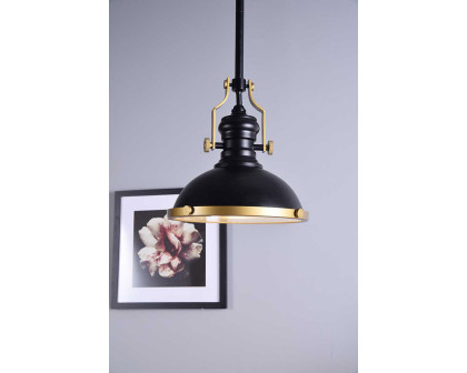 Elegant Eamon 1-Light Pendant - Brass/Black (LD5001D13BRB)