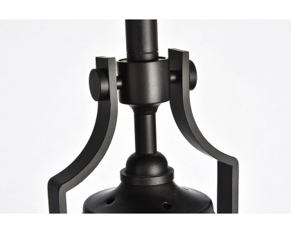 Elegant Eamon 1-Light Pendant - Oil Rubbed Bronze (LD5001D13ORB)