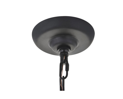 Elegant Selene 1 Light Pendant - Black, L 10" (LD5050D10BK)