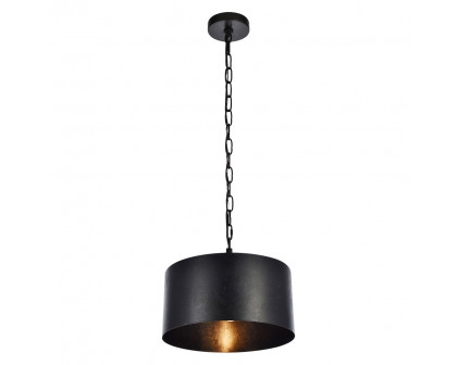 Elegant Miro 1-Light Pendant - Black, L 15" (LD6015D15BK)