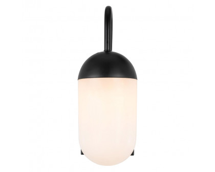 Elegant Wall Sconce - Black/Matte Glass (LD6169BK)