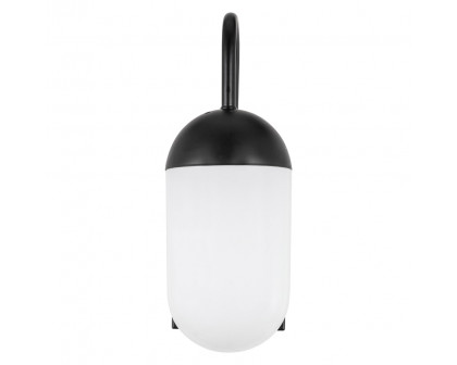 Elegant Wall Sconce - Black/Matte Glass (LD6169BK)