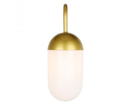 Elegant Wall Sconce - Brass/Matte Glass (LD6173BR)