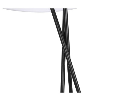 Elegant LED Floor Lamp - Black (LD6189BK)