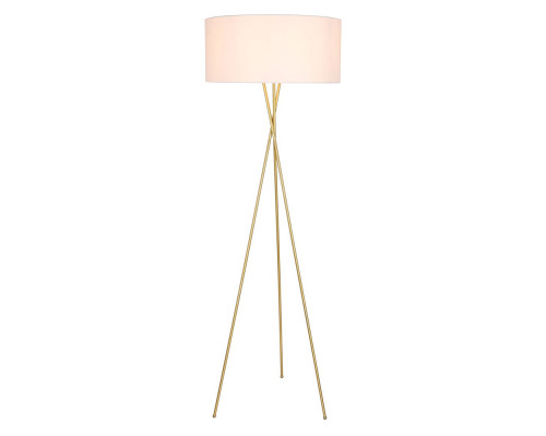 Elegant LED Floor Lamp - Brass (LD6191BR)