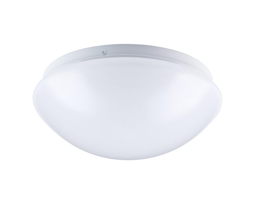 Elegant - Commercial Ceiling Light (LDCF3001)