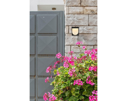 Elegant Raine Integrated Led Wall Sconce - Black (LDOD4009BK)