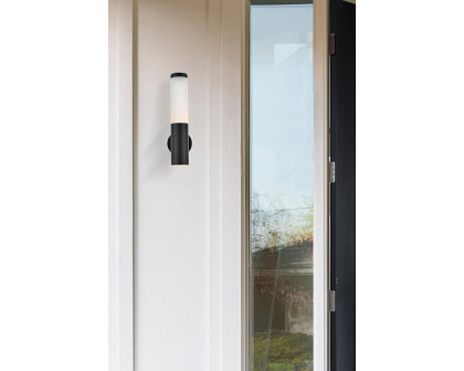 Elegant Raine Integrated Led Wall Sconce - Black (LDOD4020BK)