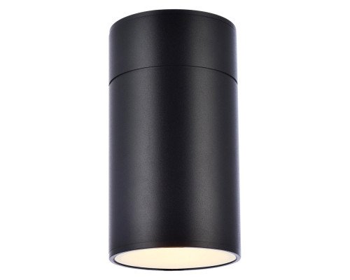 Elegant LED Outdoor Wall Light - Black (LDOD4039BK)