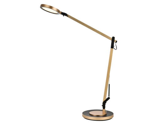 Elegant LED Table Lamp - Champagne Gold (LEDDS006)