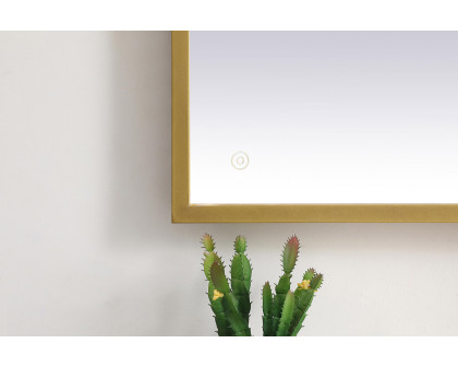 Elegant Wall Mirror - Brass, D 24", H 36" (MRE62436BR)