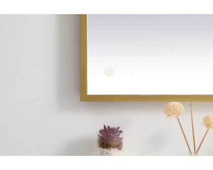 Elegant Wall Mirror - Brass, D 27", H 36" (MRE62736BR)