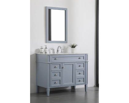 Elegant 42" Single Bathroom Vanity Set - Gray (VF12542GR)