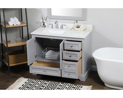 Elegant Bathroom Vanity - Gray (VF15542GR-BS)