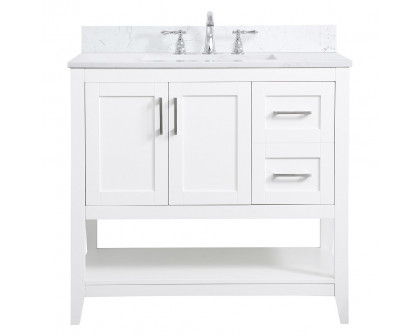 Elegant - Bathroom Vanity (PNT-VF16036)