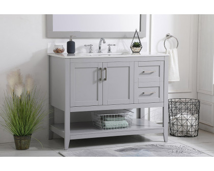 Elegant Bathroom Vanity - Gray (VF16042GR-BS)