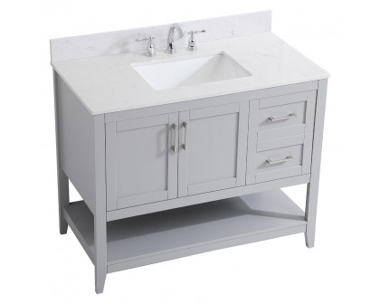 Elegant Bathroom Vanity - Gray (VF16042GR-BS)