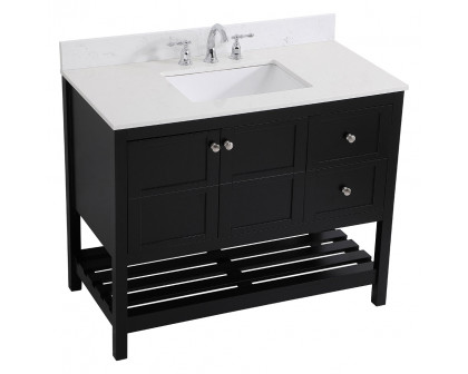 Elegant Bathroom Vanity - Black (VF16442BK-BS)