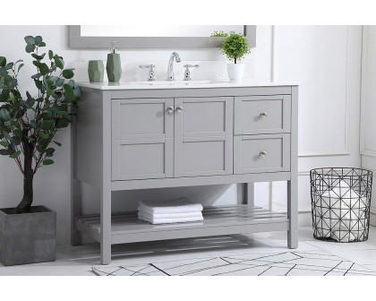 Elegant Bathroom Vanity - Gray (VF16442GR-BS)