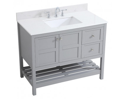 Elegant Bathroom Vanity - Gray (VF16442GR-BS)