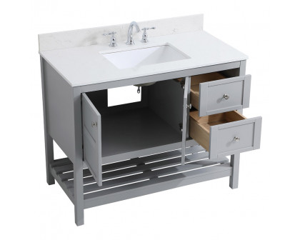 Elegant Bathroom Vanity - Gray (VF16442GR-BS)