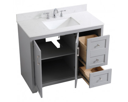 Elegant Bathroom Vanity - Gray (VF17042GR-BS)