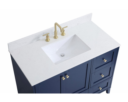 Elegant Bathroom Vanity - Blue (VF18042BL-BS)