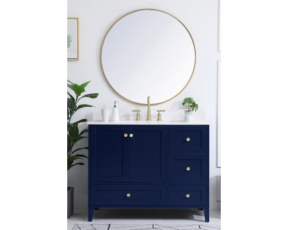 Elegant Bathroom Vanity - Blue (VF18042BL-BS)