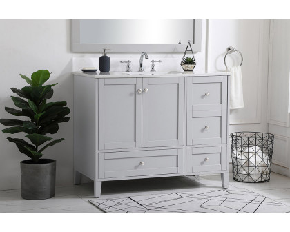 Elegant Bathroom Vanity - Gray (VF18042GR-BS)