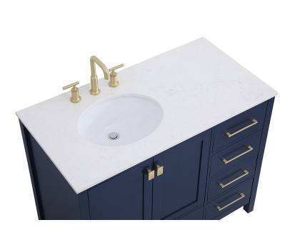 Elegant Bathroom Vanity - Blue (VF18842BL)