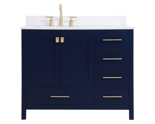 Elegant Bathroom Vanity - Blue (VF18842BL-BS)