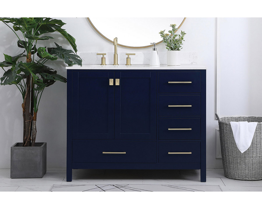 Elegant Bathroom Vanity - Blue (VF18842BL-BS)