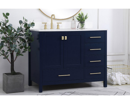 Elegant Bathroom Vanity - Blue (VF18842BL-BS)