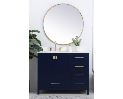 Elegant Bathroom Vanity - Blue (VF18842BL-BS)