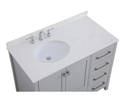 Elegant Bathroom Vanity - Gray (VF18842GR-BS)