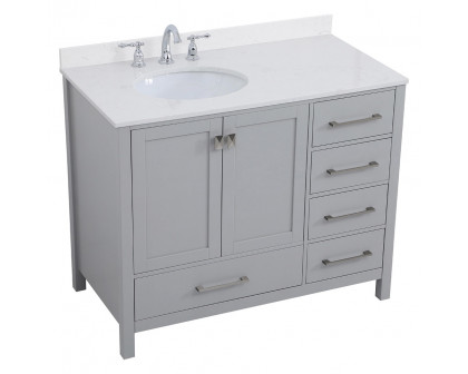 Elegant Bathroom Vanity - Gray (VF18842GR-BS)