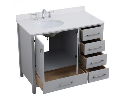 Elegant Bathroom Vanity - Gray (VF18842GR-BS)