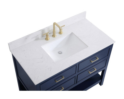 Elegant Bathroom Vanity - Blue (VF19042BL-BS)